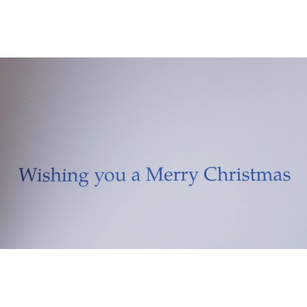 20231009_134306_20475714