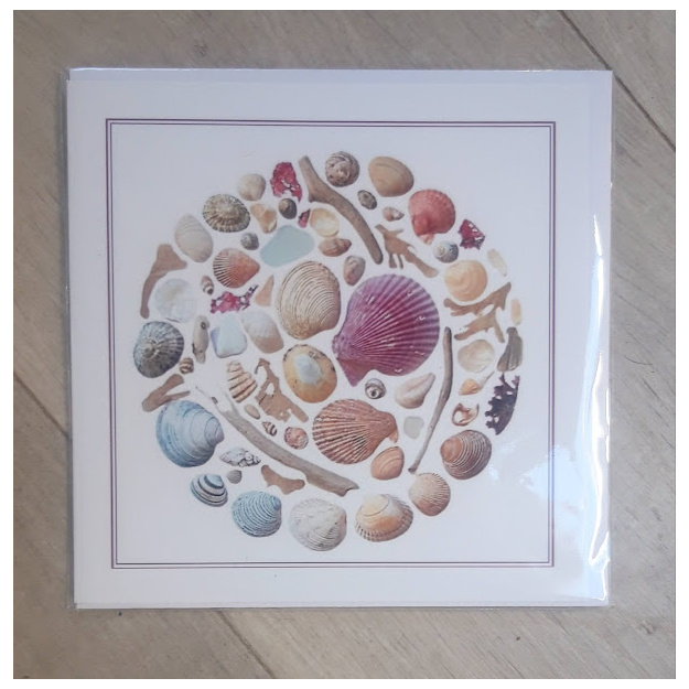 Shades of the Shoreline Shell Design Card