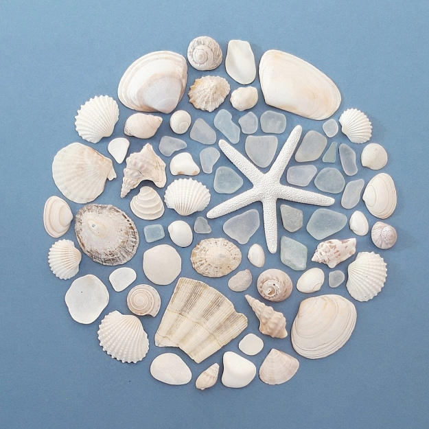 star_attraction_for_barry