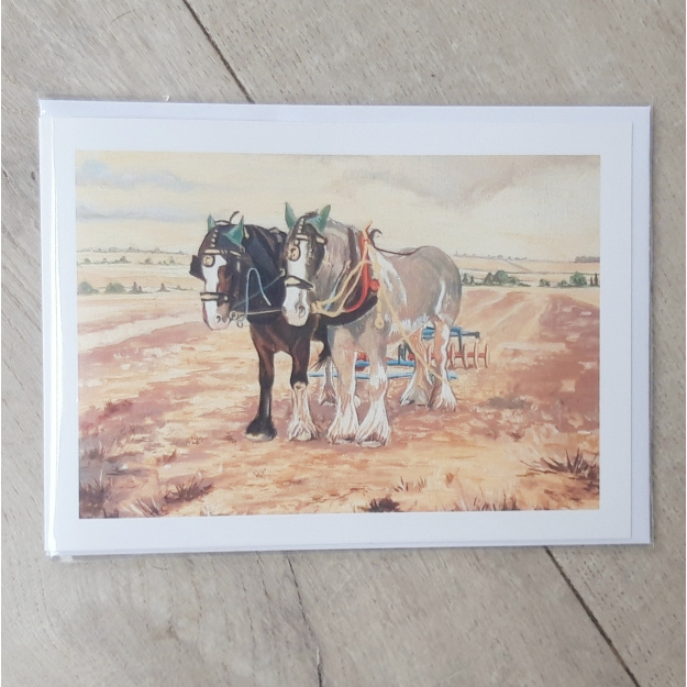 Shire Horses Ploughing a Field